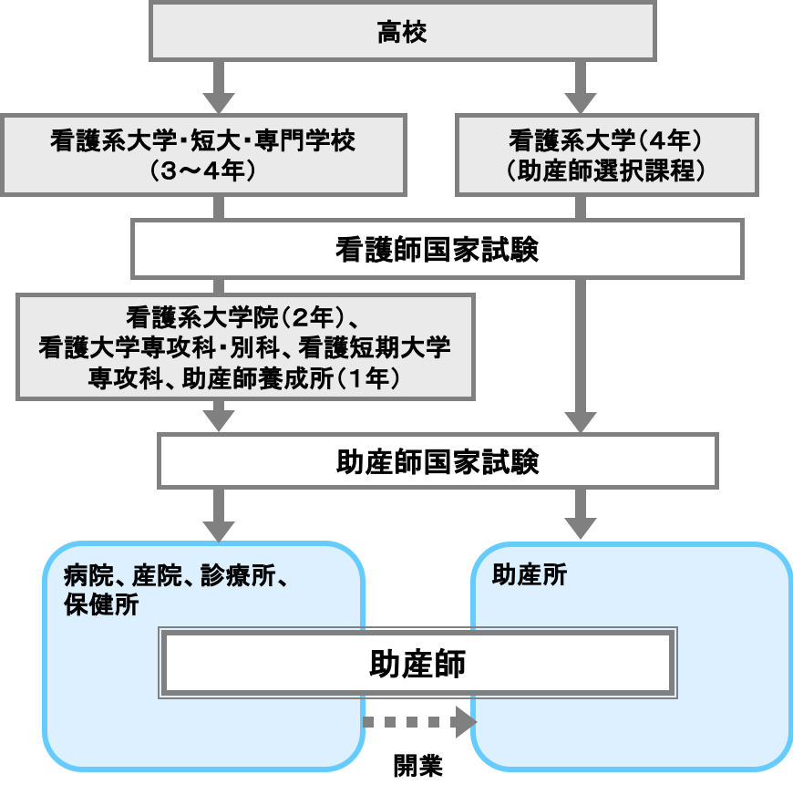 引用：厚生労働省／職業情報提供サイト 助産師