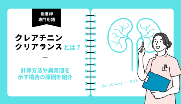 クレアチニンクリアランスとは？計算方法や異常値を示す場合の原因を紹介