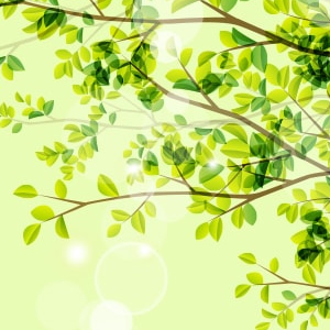 メンタルヘルスケア